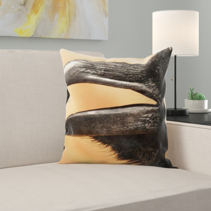 Coussin raven