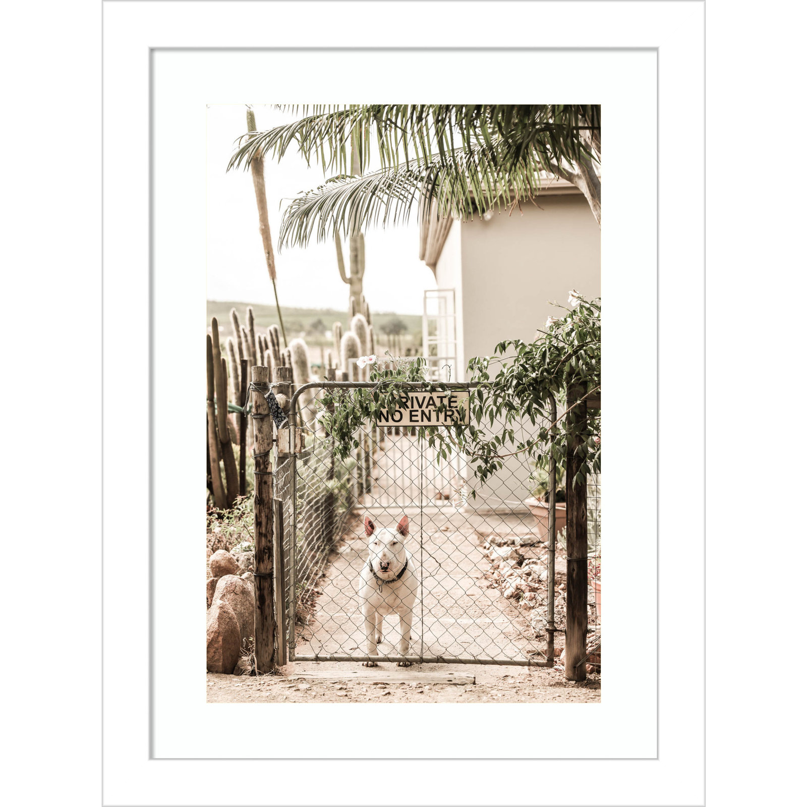Daisey "No Entry" Print by Shot by Clint, 13" H x 10" W, White