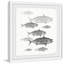 «Freshwater Fish» par Julia Posokhova - reproduction de cadre photo-26601412