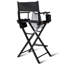 Folding Director Chair