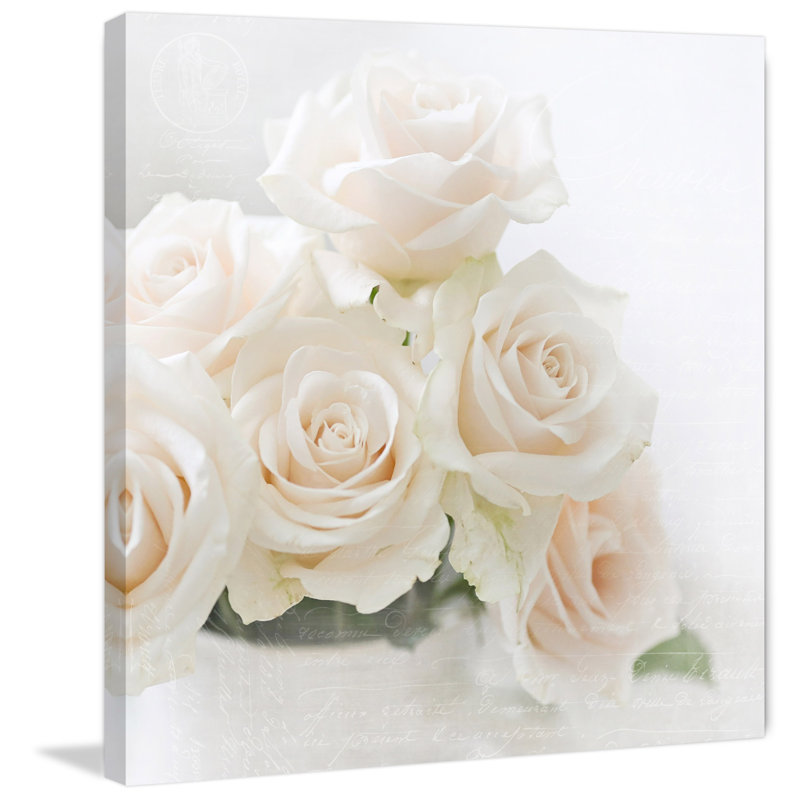 Sylvia Cook - Wrapped Canvas Print, 101 cm H x 101 cm W x 3.81 cm D