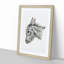 Head of a Donkey by Jean Bernard - Picture Frame Drawing Print-55580127-55580129