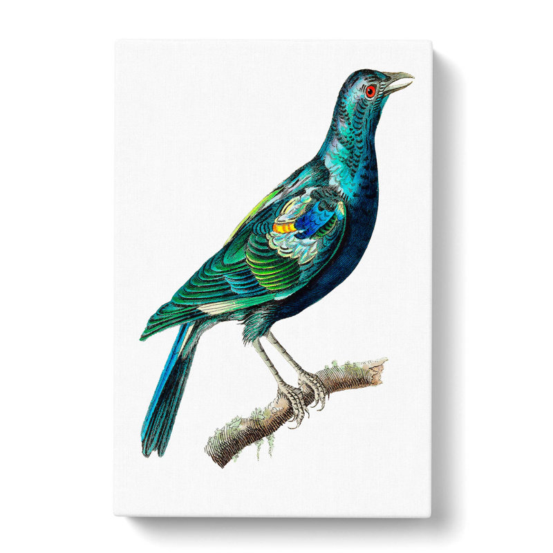 Teal Blue Bird by George Shaw - Wrapped Canvas, 60cm H x 40cm W x 3cm D
