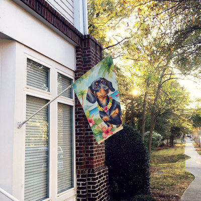 Double Sided 40'' H x 28'' W Polyester Animal House Flag