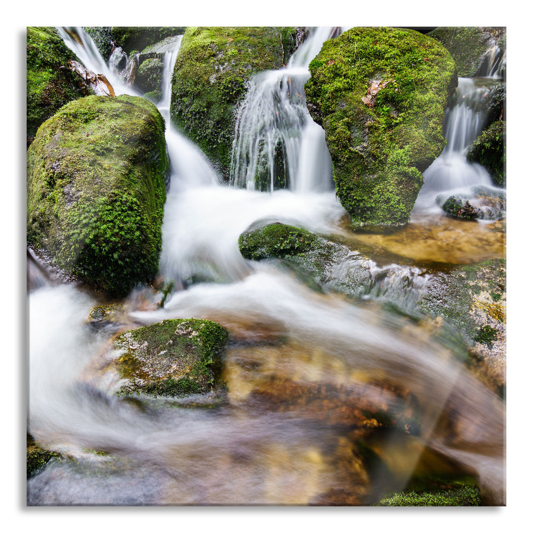 Glasbild Gertelbach im Wald