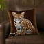 Coussin intérieur et extérieur Cats-115090483-115090499