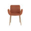 Upholstered Arm Chair