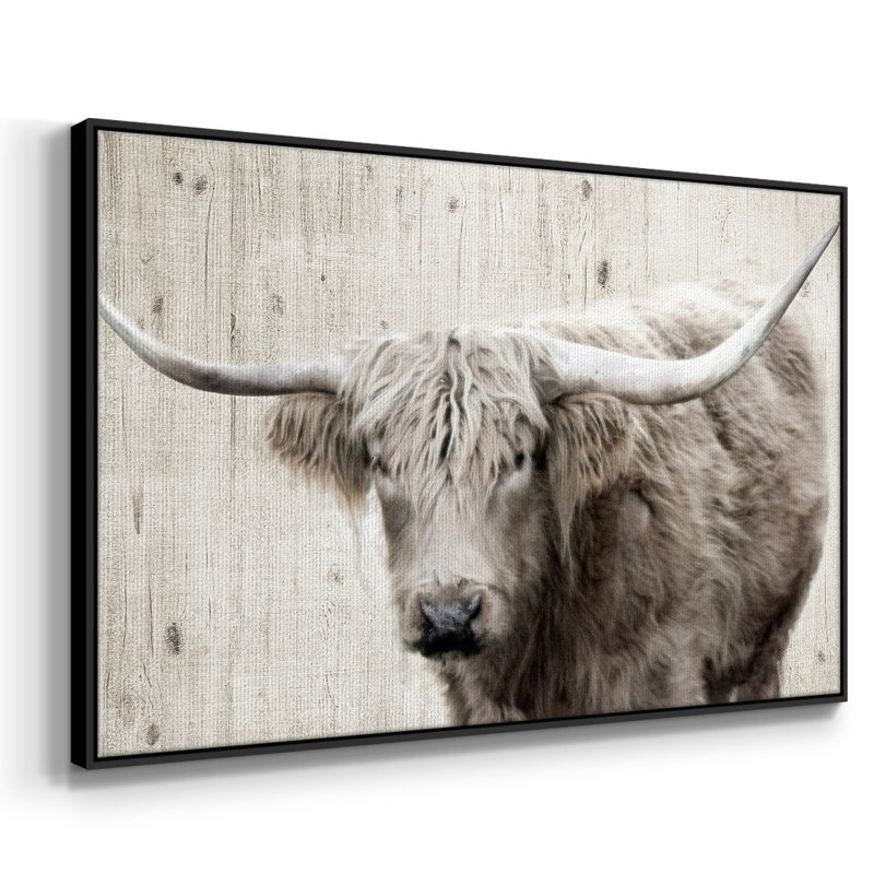 Toile tendue encadrée Longhorn, H 17 po x l 25 po x P 2 po, Noir