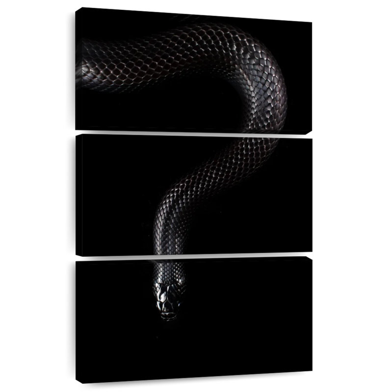 Brampt Mexican Black Snake, 45" H x 28" W