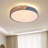 Ceiling Light Dimmable Modern Minimalist LED Round Shaped Metal Flush Mount Ceiling Light With Remote Control-100023126-100023125
