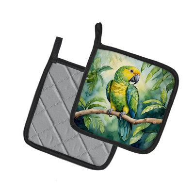 Paire de porte-casseroles Yellownaped Amazon