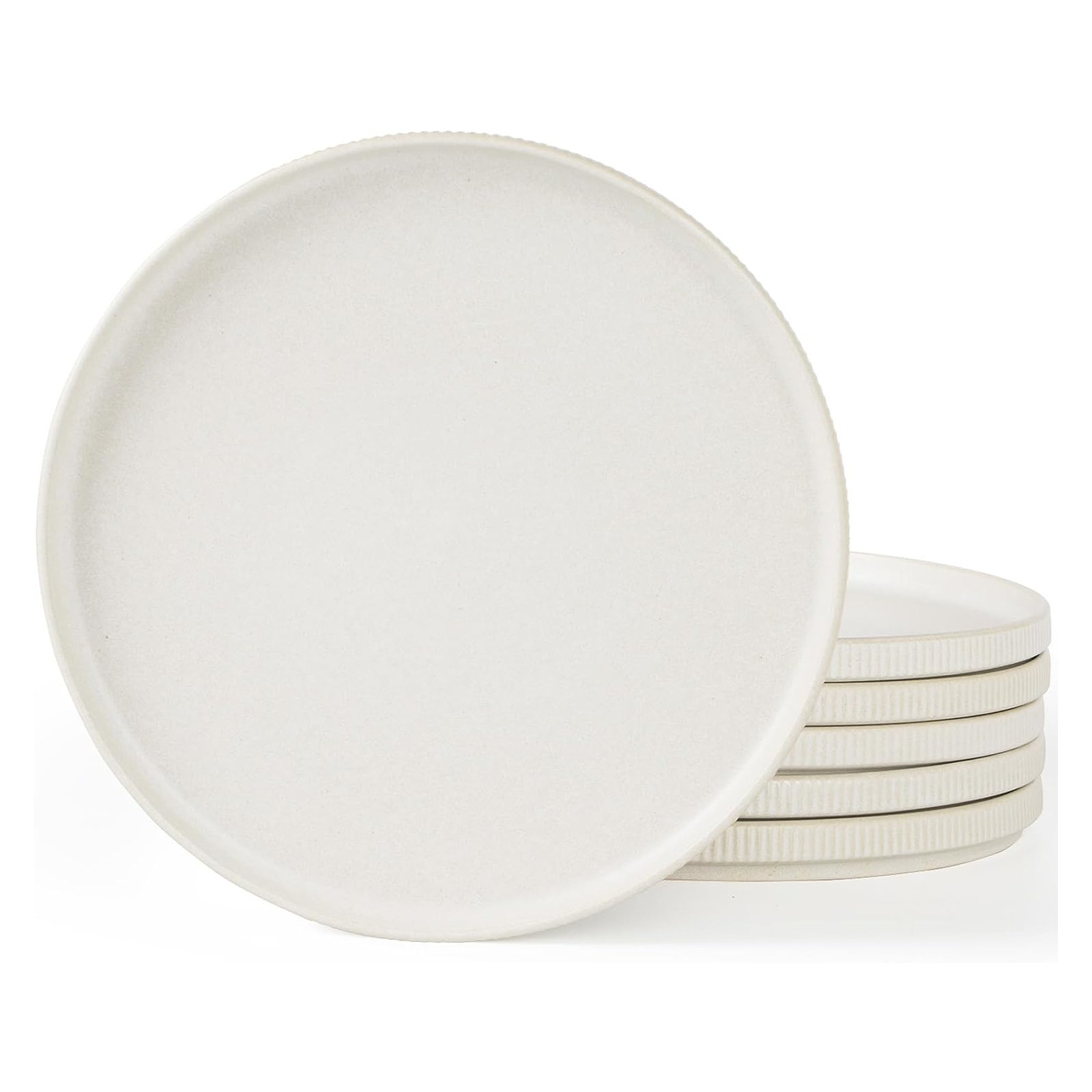 Joss & Main 10" Stoneware Dinner Plate, Matte White