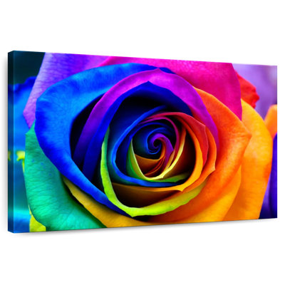 Pétales de rose Harnek Rainbow
