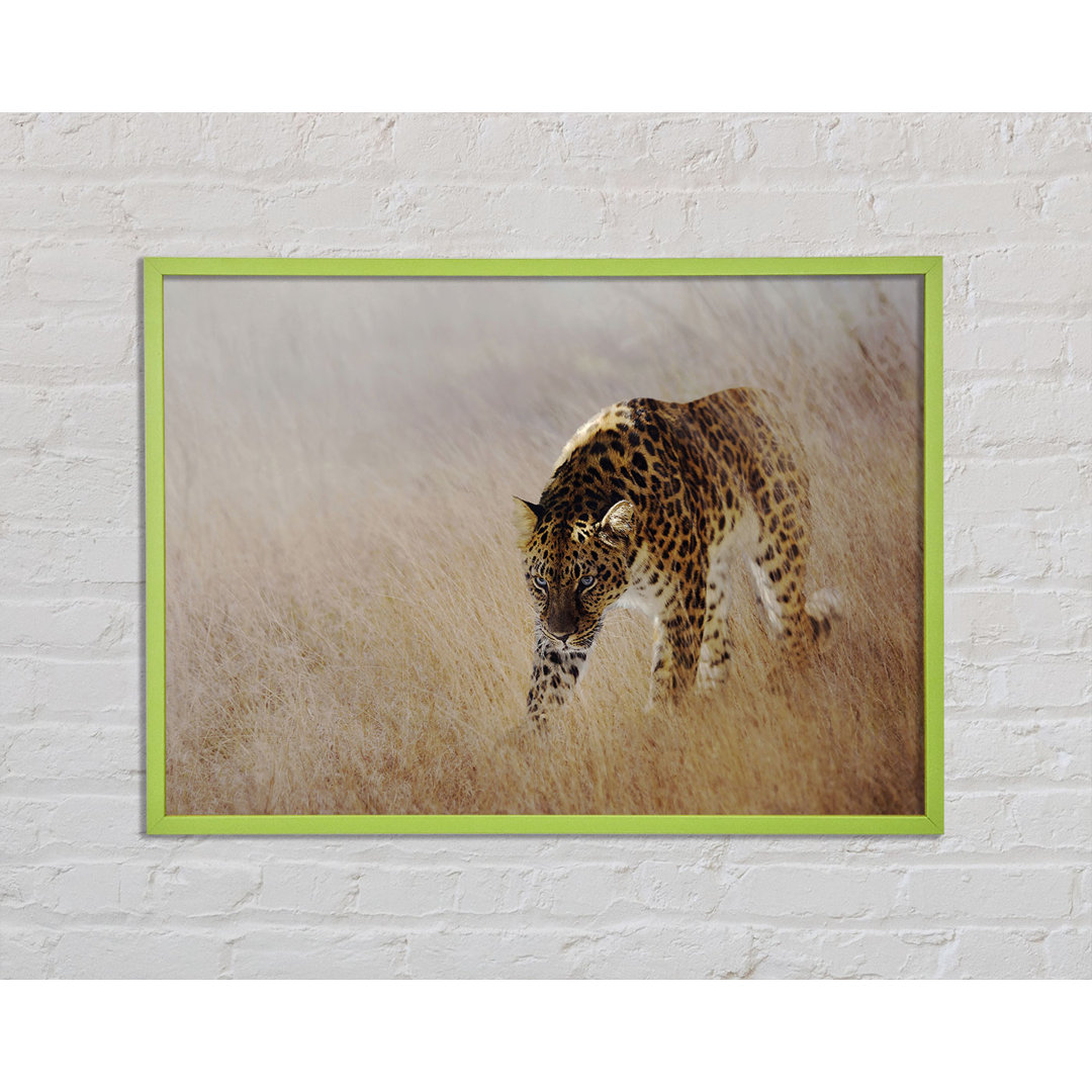 Streifender Leopard Gerahmter Druck Wandkunst