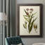 Toile encadrée de qualité supérieure Olive Greenery-1010324200