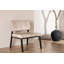 Ammon Velvet Side Chair