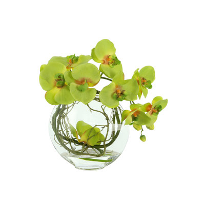 Arrangement d'orchidées dans un vase en verre