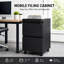 File Cabinet-1388612518