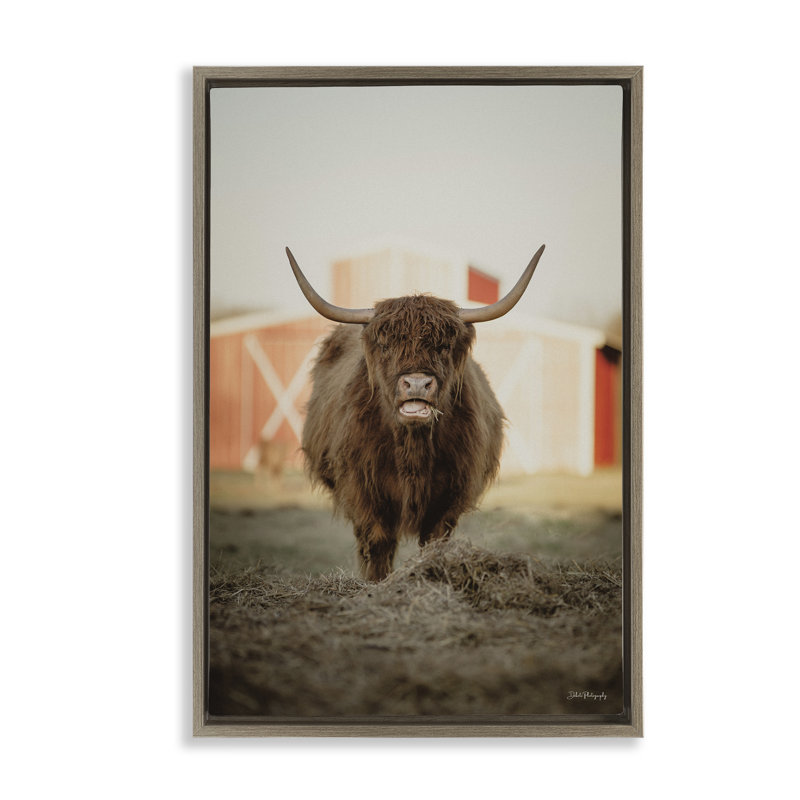 Bétail sur une ferme par Dakota Diener, H 31 po x l 21 po, Cadre flottant orme Montalcino