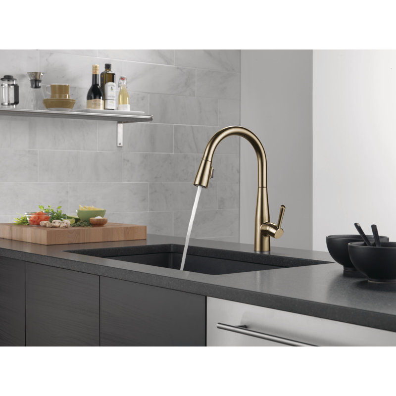Robinet de cuisine à poignée simple avec technologie MagnaTite® et Diamond Seal Essa, Bronze champagne
