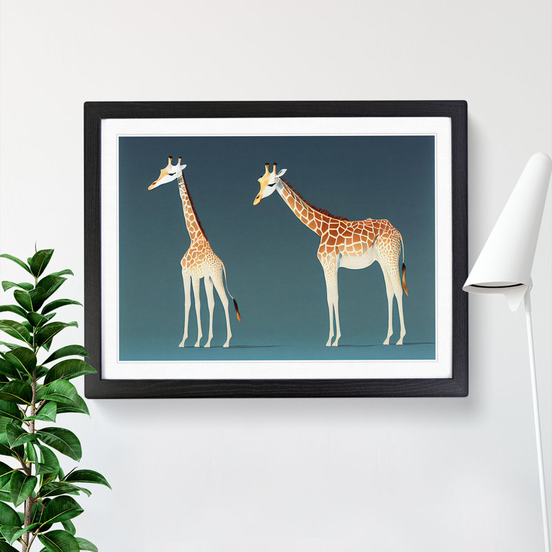 Two Young Giraffes - Single Picture Frame Print, Black Framed , 46cm H x 64cm W x 2cm D