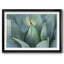 «Blue Agave I», impression sur papier-769765459-769765457