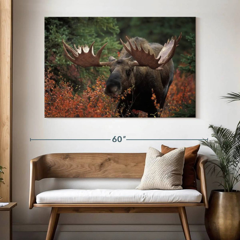 Repas Brampt Moose Forest, H 34 po x l 51 po