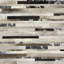 Trail Geometric Area Rug in Brown/Silver/Ivory-891466941