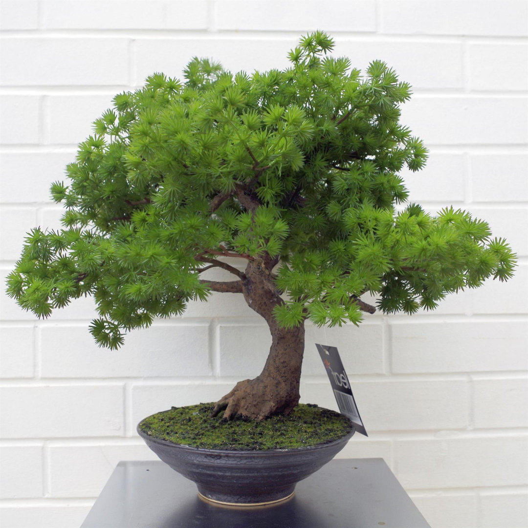 50cm Faux Plant in Ceramic Pot
