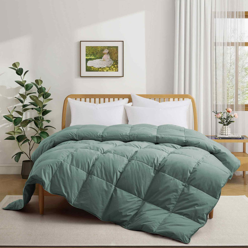 All Season Cotton Down Comforter/Duvet Insert, King Comforter, Blue
