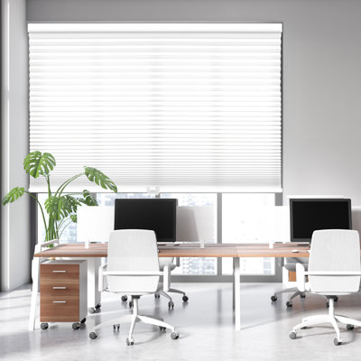 Coursey 1 inch Cordless Semi-Sheer Light Filtering Pleated Shade