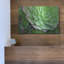 «Succulents IV» par Dennis Frates-622793534