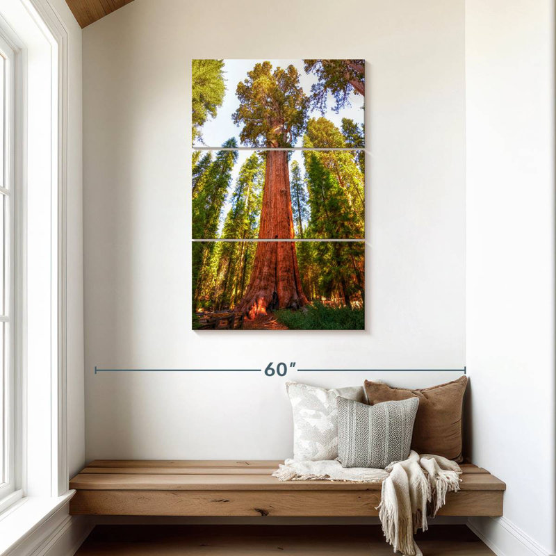 Harnek Redwood Tree Grove, H 45 po x l 28 po