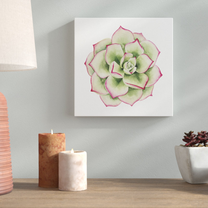 Tropical Plant IV by Grace Popp - Wrapped Canvas Painting, 30cm H x 30cm W