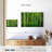 Alvord Bamboo Jungle-111976174