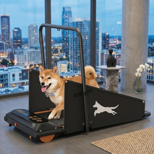 Pet Fitness Treadmill Designed for Small to Medium Dogs, Promotes Health and Physical Activity with Run/Walk Functionality
