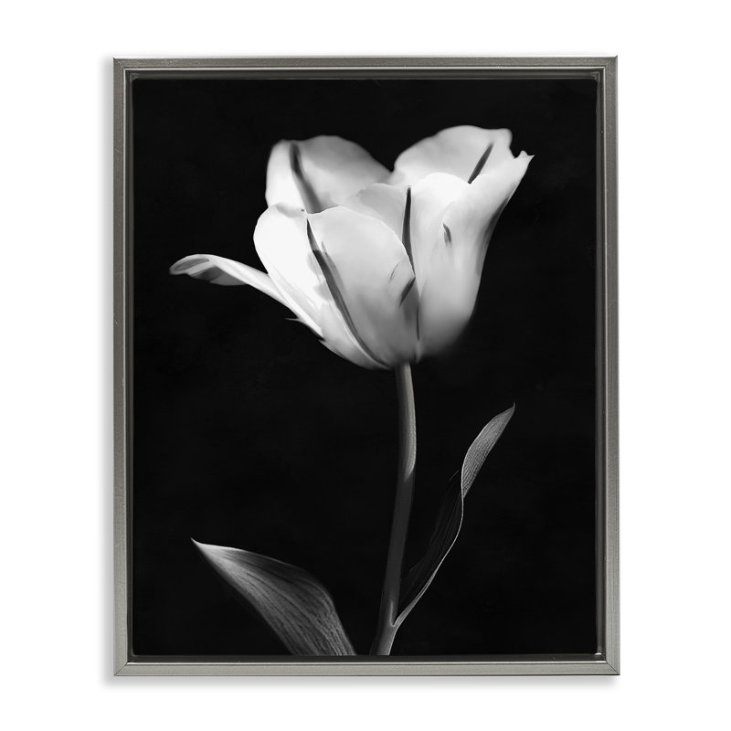 Cadre flottant Modern, Cadre flottant gris lustré, H 31 po x l 25 po