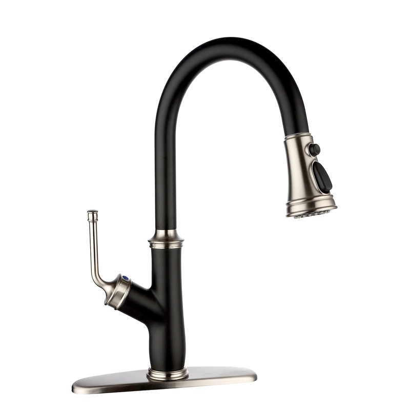 Rainlex Pull Down Kitchen Faucet