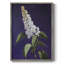 Reproduction encadrée FLORAL Series CCXXVI - bois massif-890610309