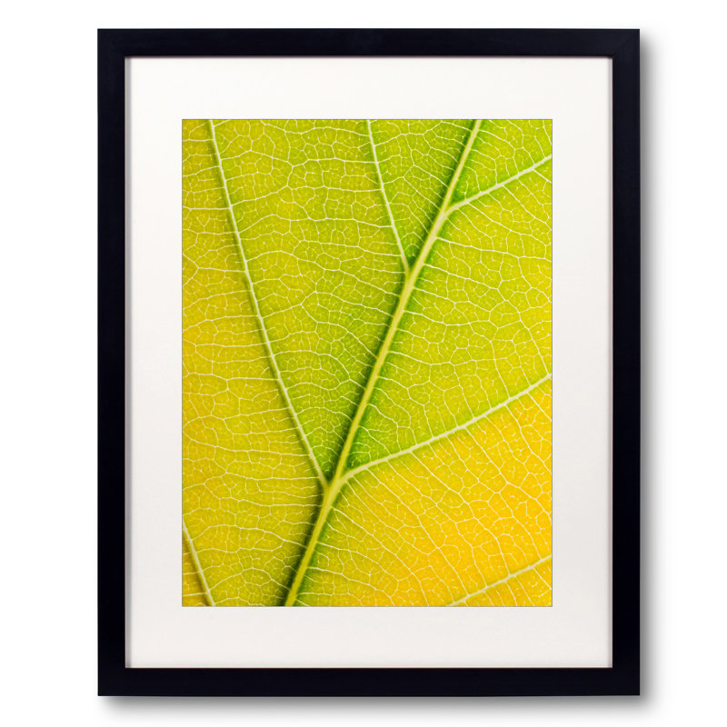 Autumn Leaf by Philippe Monthoux, Black Framed Paper, 20" H x 16" W