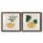 Papier, cadre noyer