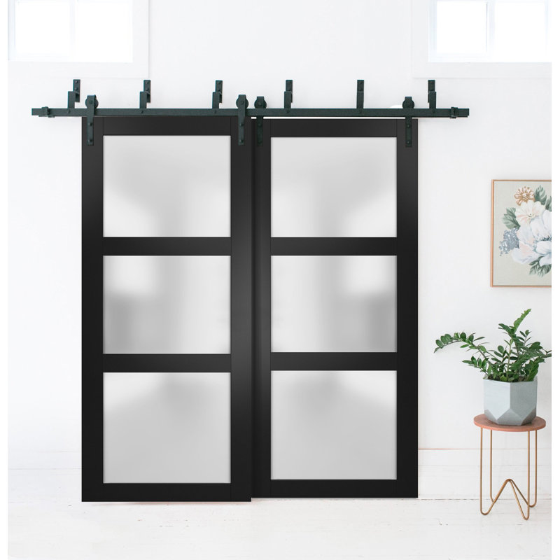 Portes de grange en verre givré Lucia avec quincaillerie d'installation, Noir, 36 po x 96 po