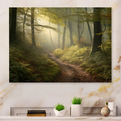 «Misty Trail in the Woods II» - Photographie sans cadre sur métal