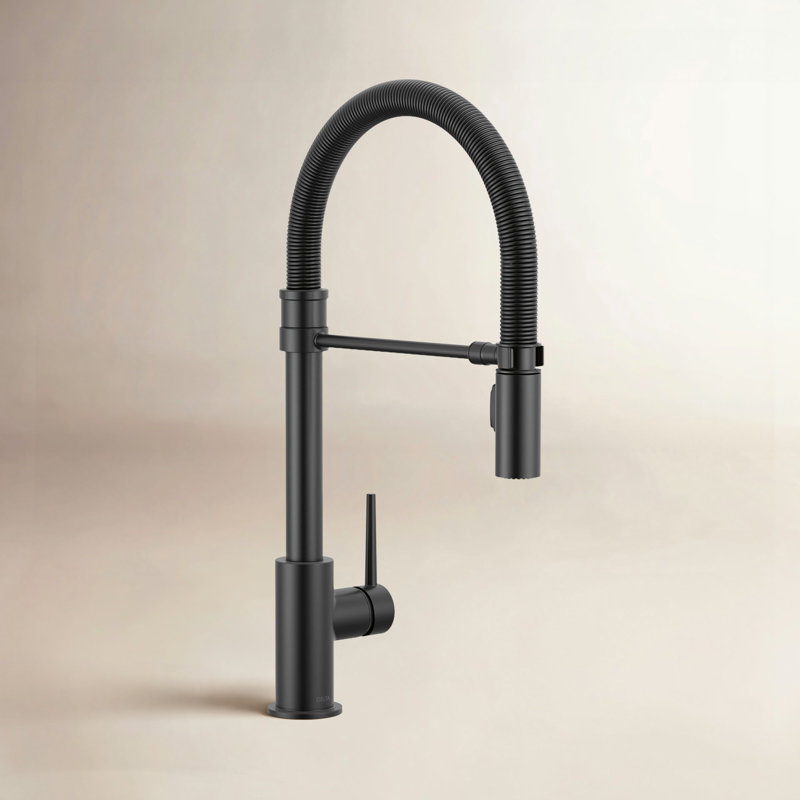 Robinet de cuisine Trinsic Pro Style, Noir mat