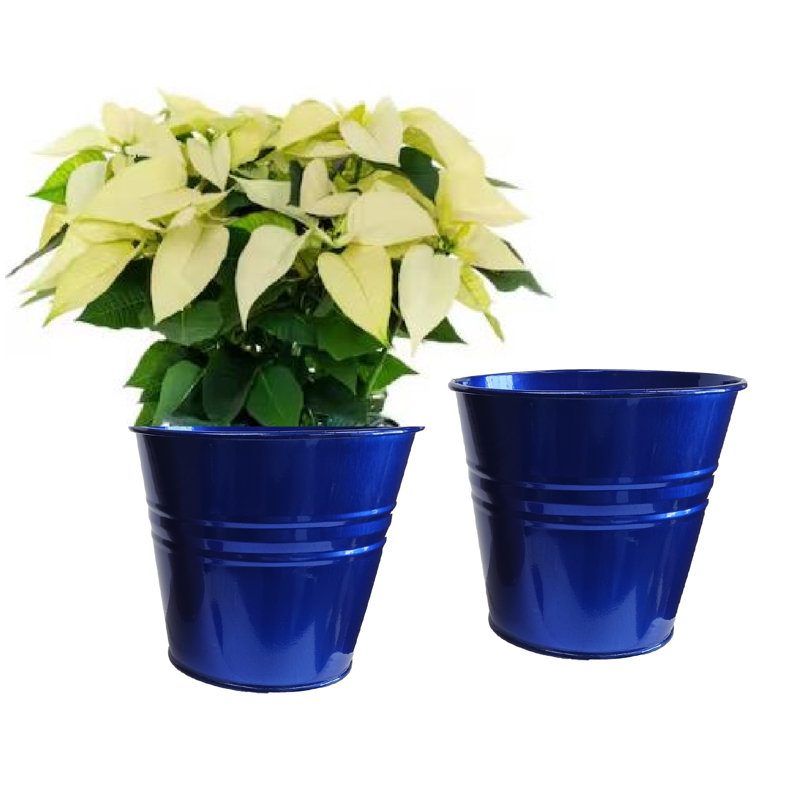 Pot à fleurs en acier émaillé pour plantes de 6,5 po. Ensemble de deux, Bleu foncé brillant