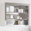 Slemp Silver Stainless Steel Accent Cabinet-1661940342