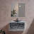 Dumaine 32'' Single Bathroom Vanity with Tempered Glass Top