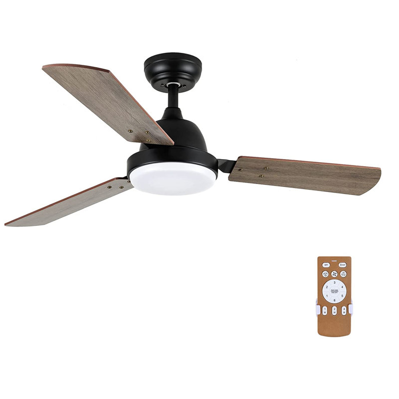 Alyzza Ceiling Fan with LED Lights