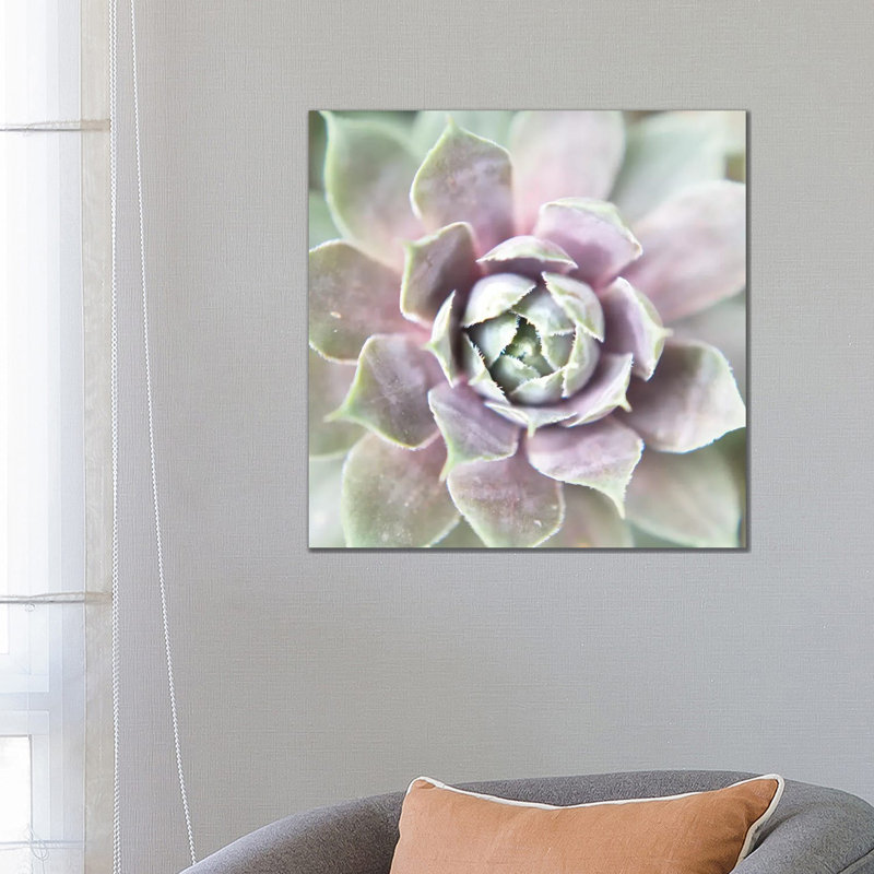 Succulent Glow II by Jason Johnson - Wrapped Canvas Print, 66.04 cm H x 66.04 cm W x 1.91 cm D