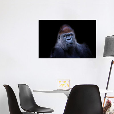 Western Lowland Gorilla by David Whelan - Wrapped Canvas Print